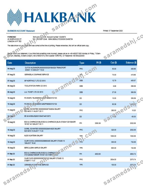 Halkbank business statement Word and PDF template